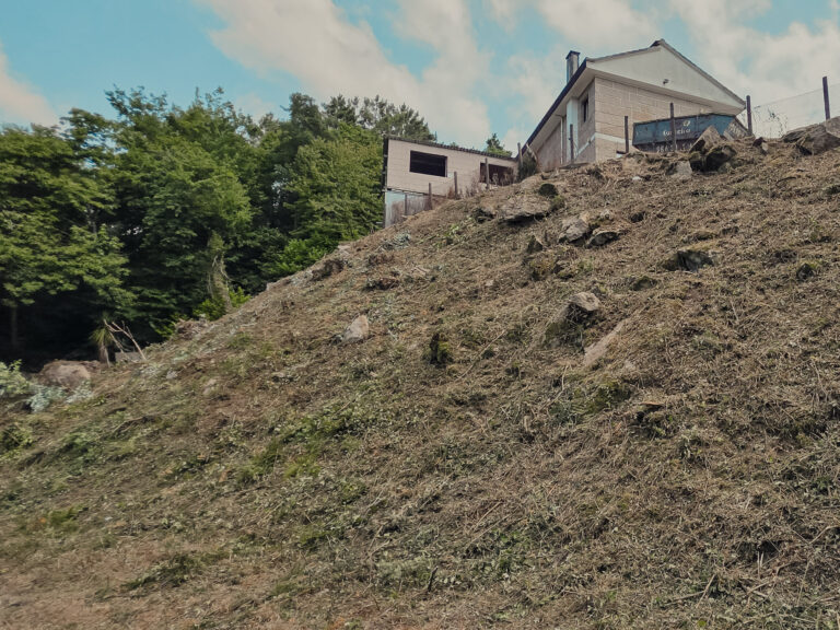 Cómo Planificar el Desbroce Anual de tu Finca